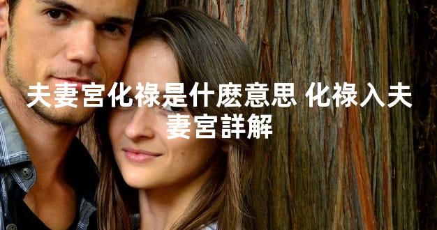 夫妻宮化祿是什麽意思 化祿入夫妻宮詳解